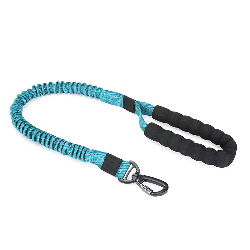 Bungee Dog Leash