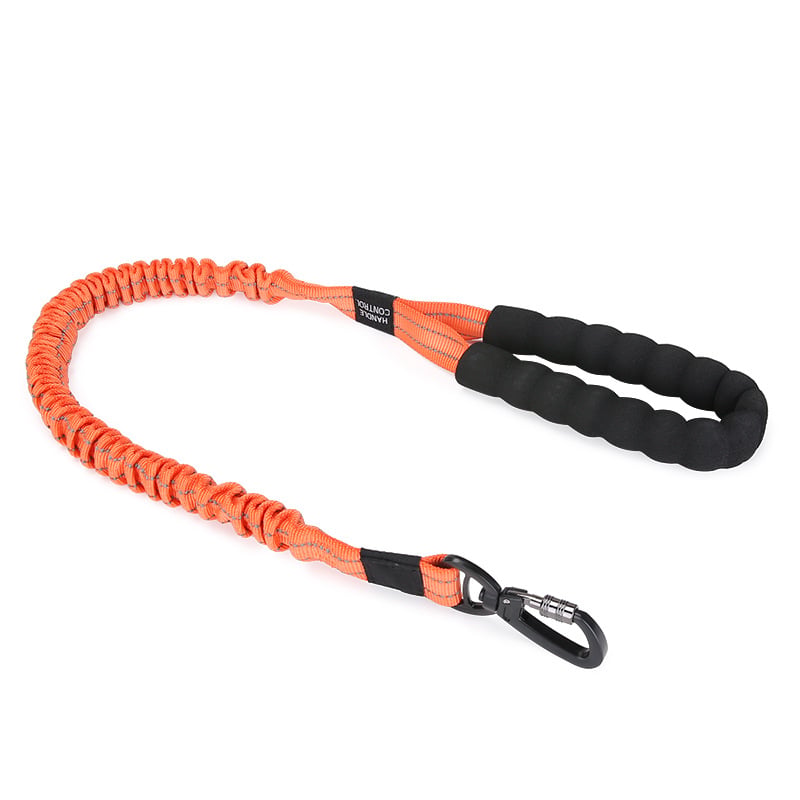 Bungee Dog Leash