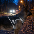 No Harness — Front-Clip No-Pull Dog Harness